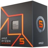 Ryzen 5 7600, 3,8 GHz (5,1 GHz Turbo Boost) socket AM5 processor